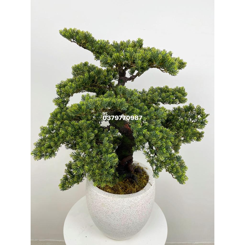 Cây Tùng Giả Lá Ngắn, Cây Bonsai giả Decor trang trí nhà cửa