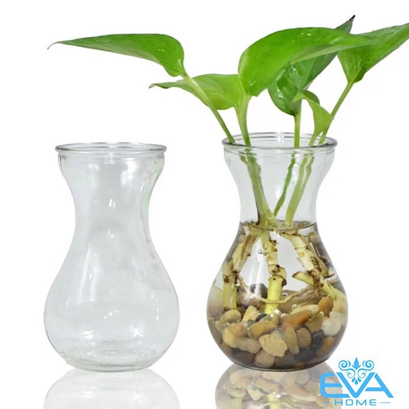 Bình thủy tinh miệng loe trồng cây thủy canh tươi mát