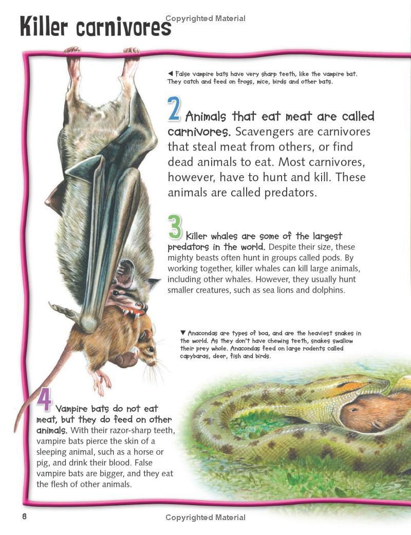 Wild About Fierce Creatures