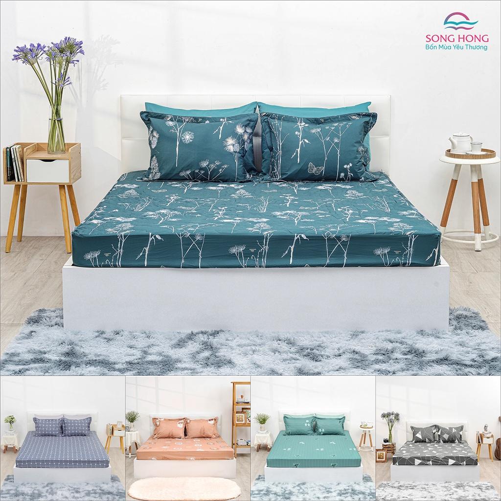 Bộ Ga chun chần Sông Hồng basic - Chất cotton