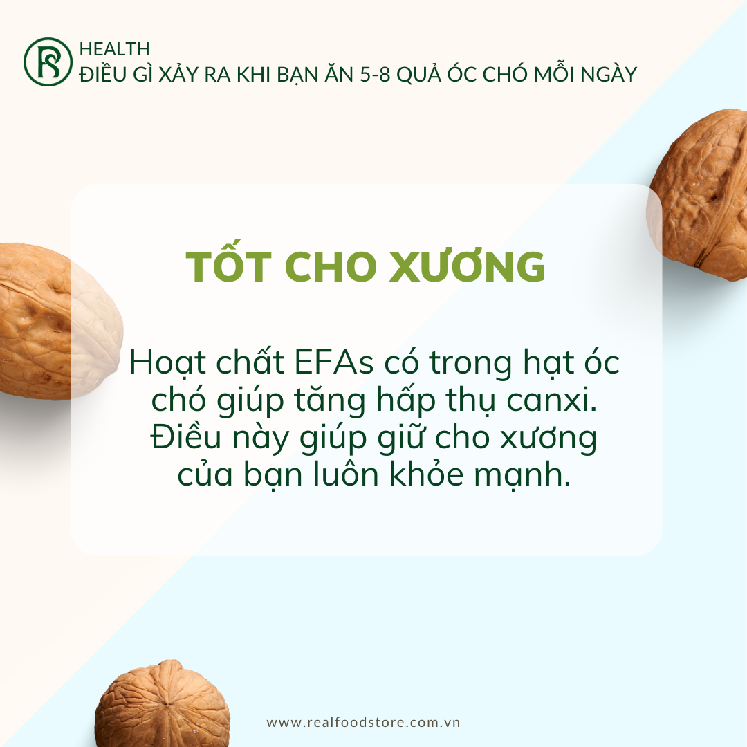 Hạt Óc Chó Nguyên Vỏ Nhập Khẩu Real Food