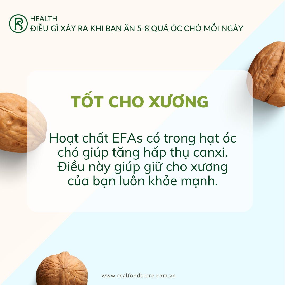 [COMBO] Hạt Óc Chó Nguyên Vỏ Nhập Khẩu Real Food