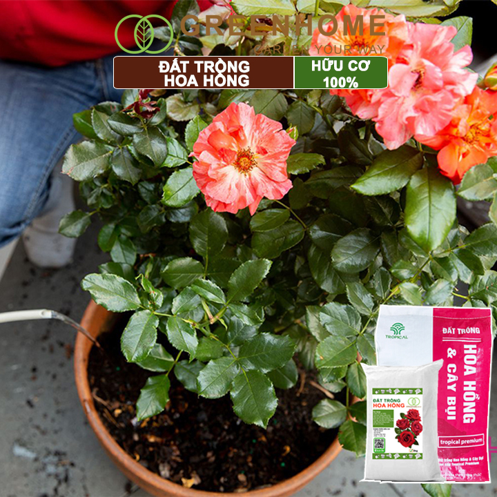 Đất trồng hoa hồng hữu cơ, bao 5kg, trộn sẵn, đầy đủ dinh dưỡng, kháng bệnh tốt, sai hoa, bông to |Greenhome