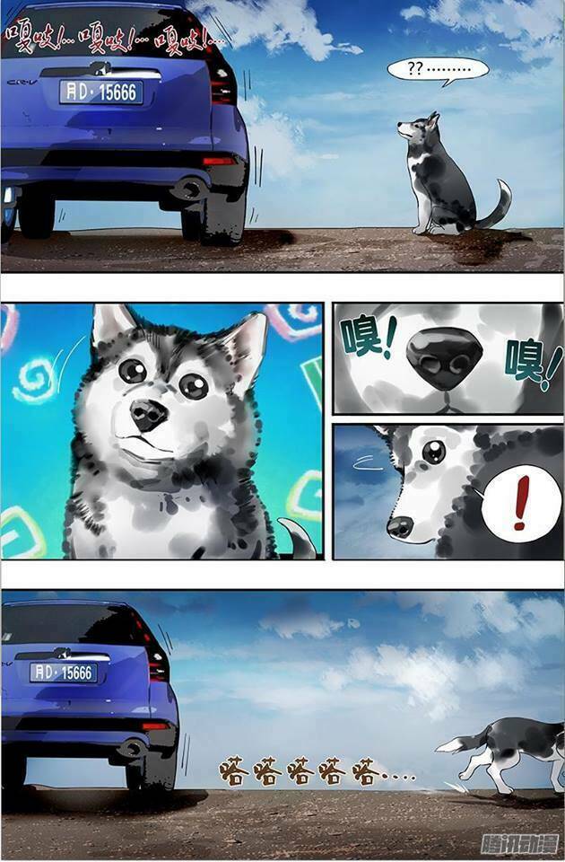 were wolf chapter 13 6