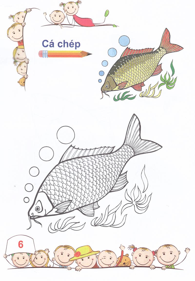 Tô Màu - Mẫu Giáo - Các Loài Cá
