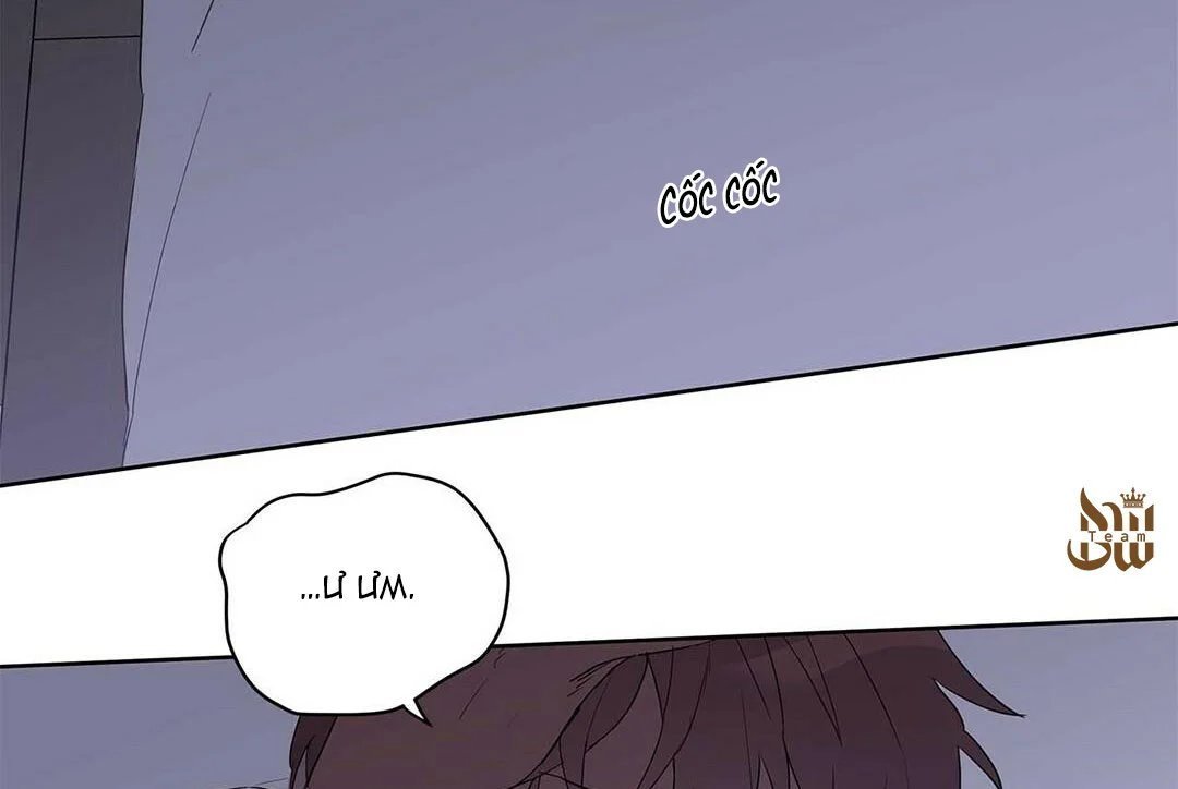 guide cấp b chapter 20 52