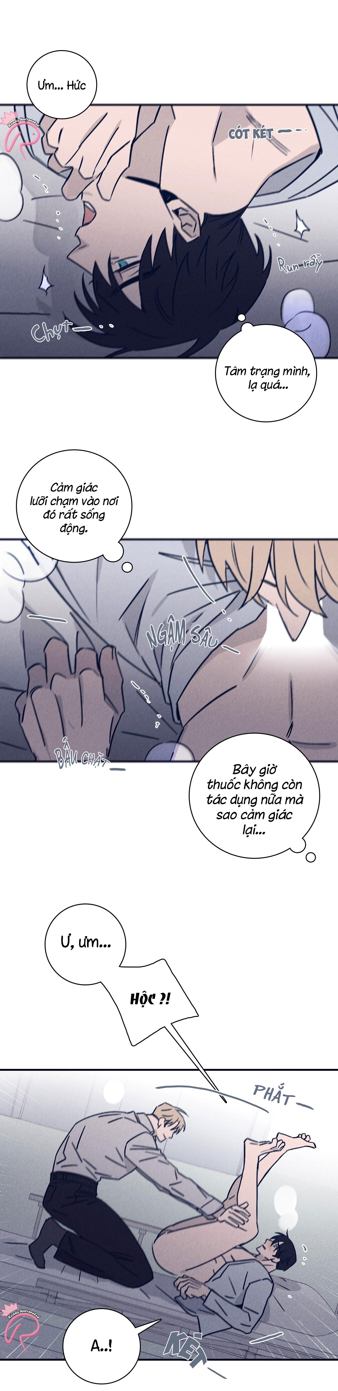 độc dược (marcel) chapter 37 6