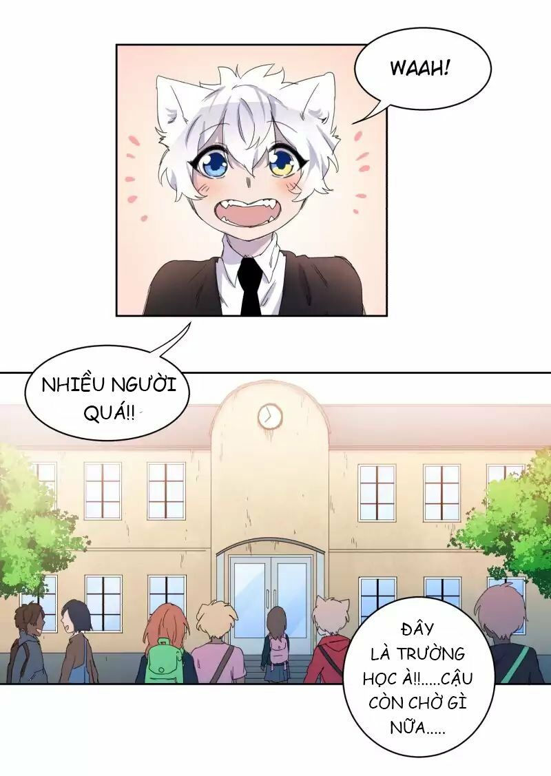 lumine - cội nguồn ánh sáng chapter 10 2