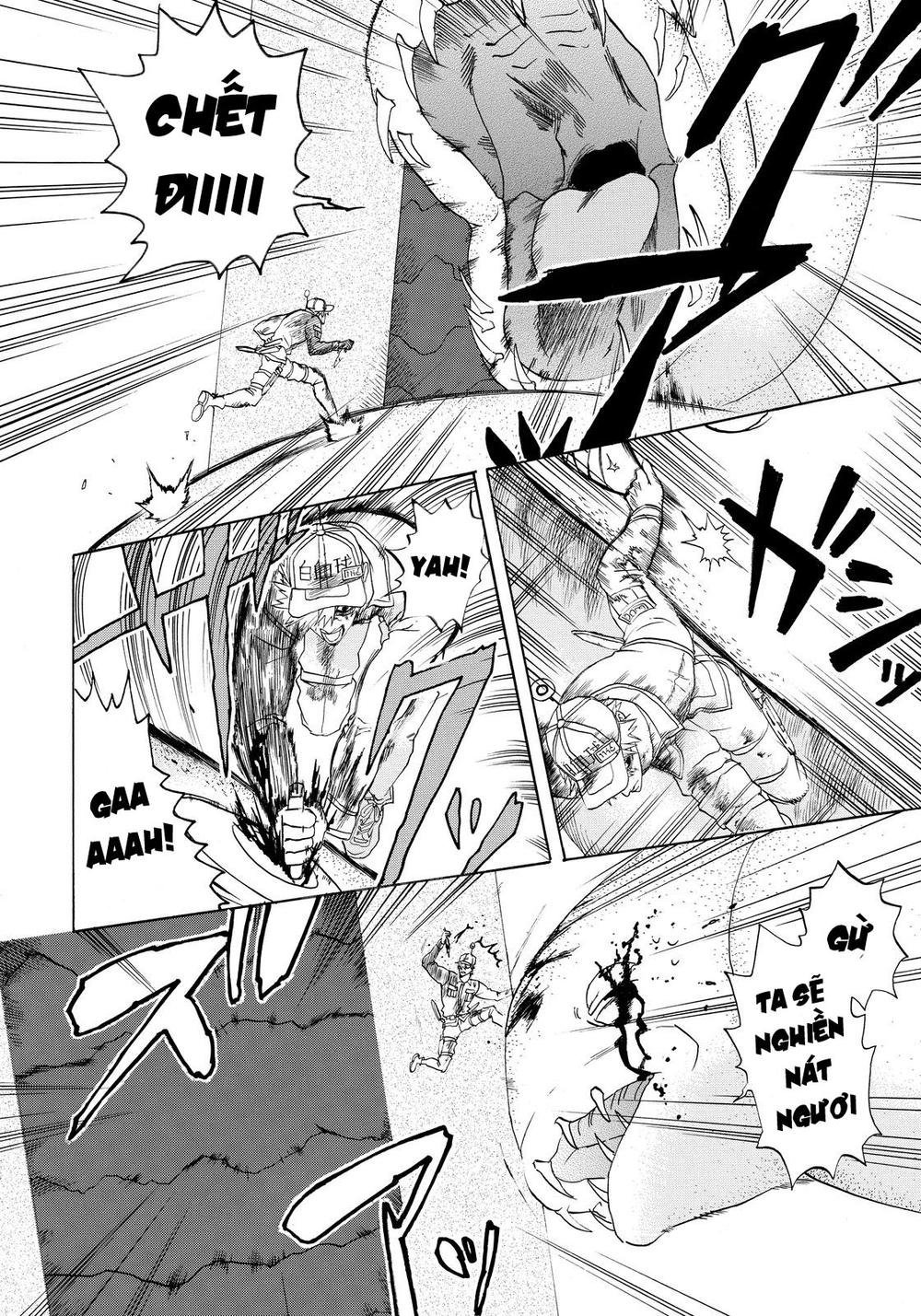 hataraku saibou! chapter 14 14