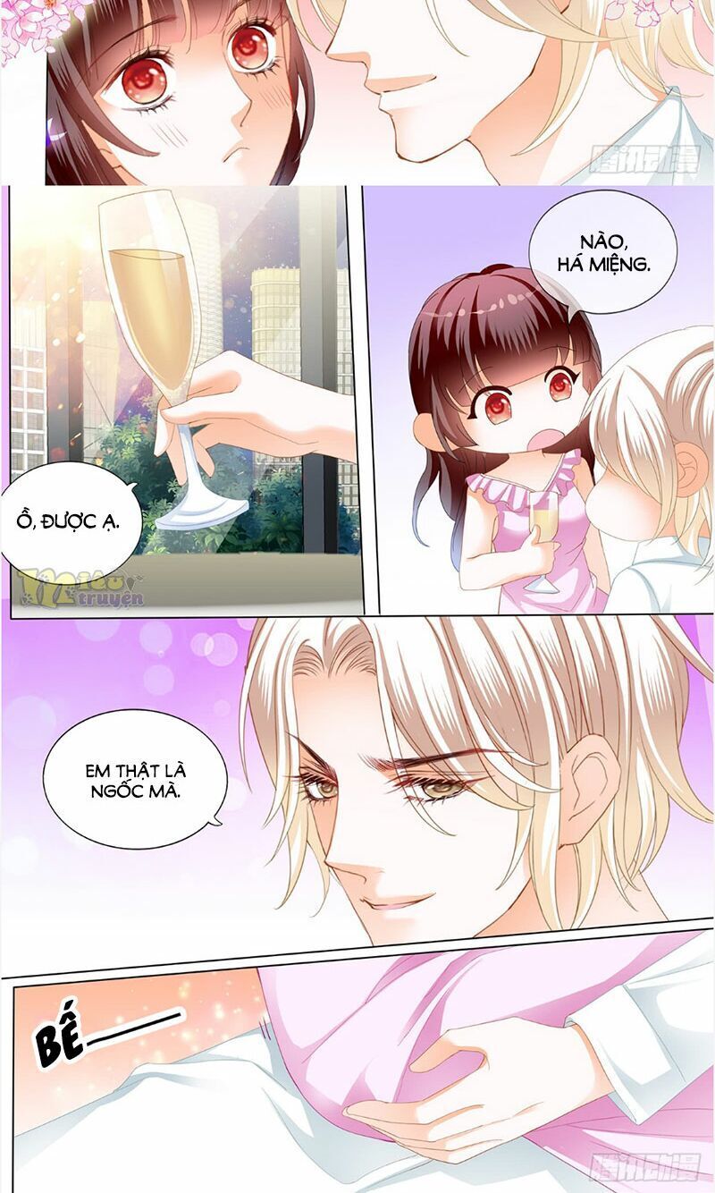 lóe thiểm hôn kiều thê mơ tưởng trốn chapter 242 5