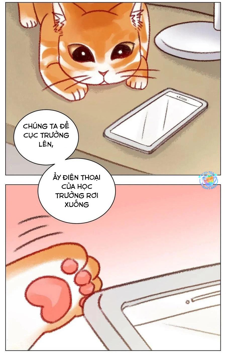 ký túc xá nam phòng 303 chapter 196 12