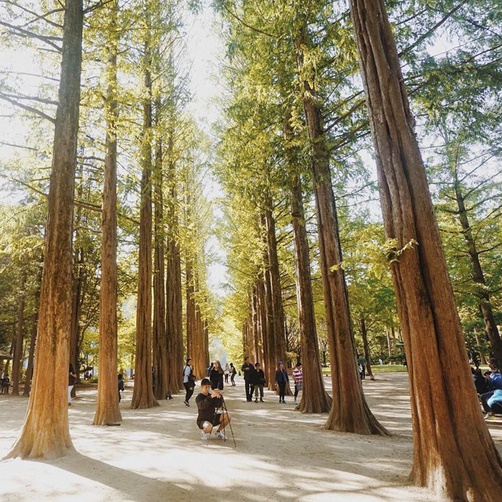 Tour Hàn Quôc 5N4Đ - Seoul - Nami - Everland, Khởi Hành HCM
