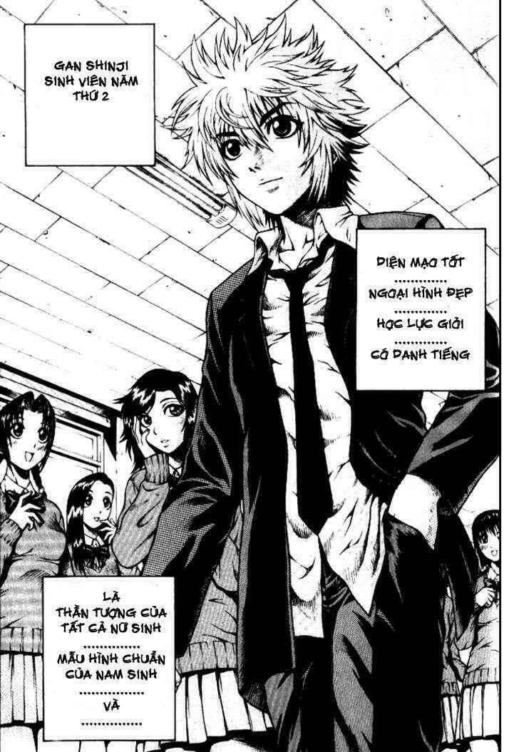 zippy ziggy chapter 1 19