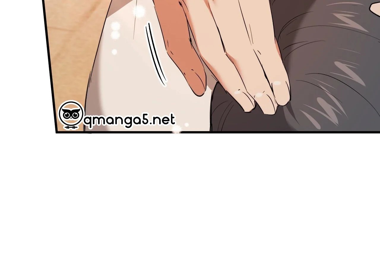 những chú thỏ của hapypy chapter 65 9