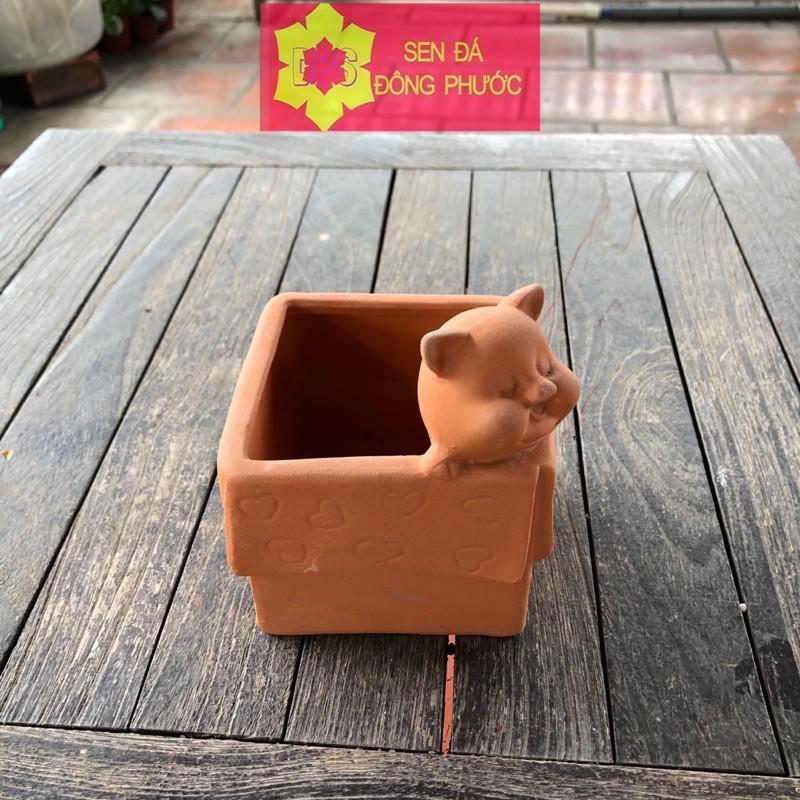 Chậu cây đất nung hình vuông Heo con ngủ - chậu trồng tiểu cảnh sen đá, xương rồng, cây phong thuỷ văn phòng đẹp