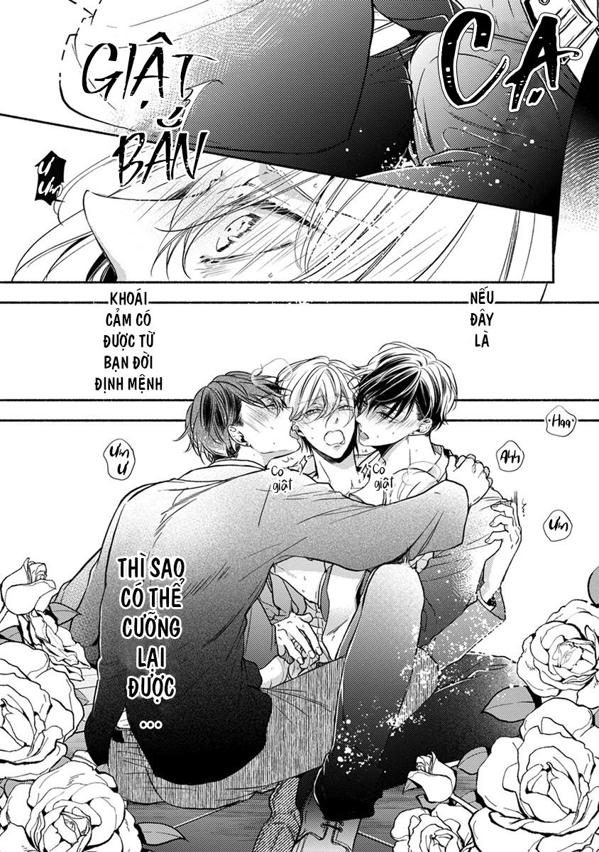 omega giả vờ kiên cường đó là bạn tình của tôi chapter 1 14