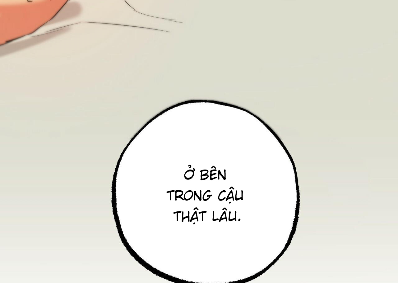đàn thỏ của habibi chapter 54 217