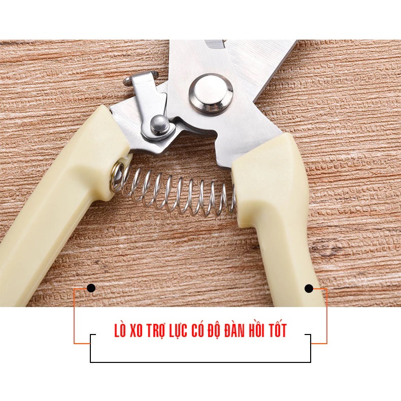Kéo cắt cành lưỡi thép không rỉ siêu sắc bén tay cầm lò xo cộng lực chắc chắn có chốt an toàn - miếng lót chuột