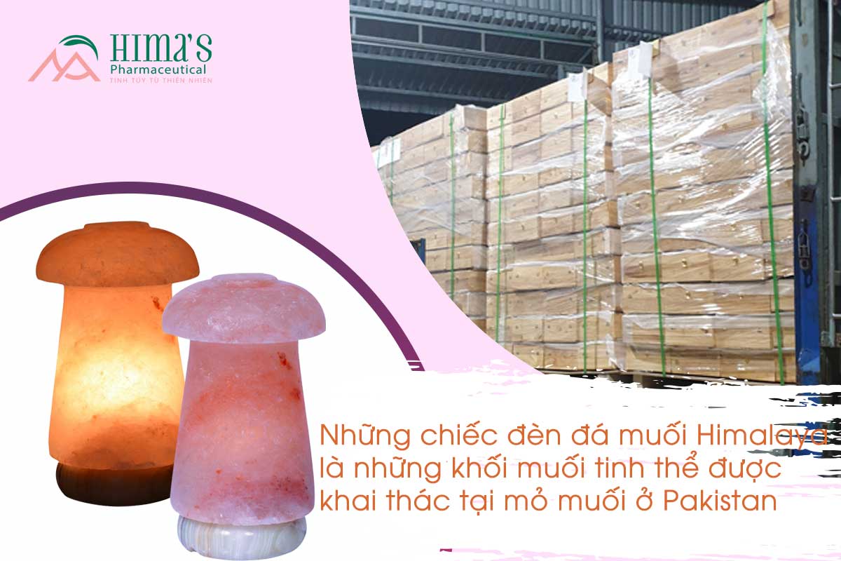 Đèn Đá Muối Hình Nấm Đế Cẩm Thạch