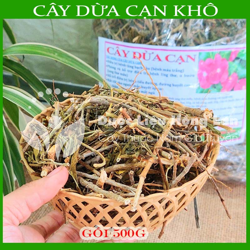Cây Dừa Cạn khô sạch đóng gói 500gram