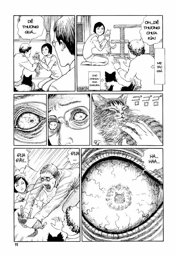 ito junji cat's diary chapter 1 15