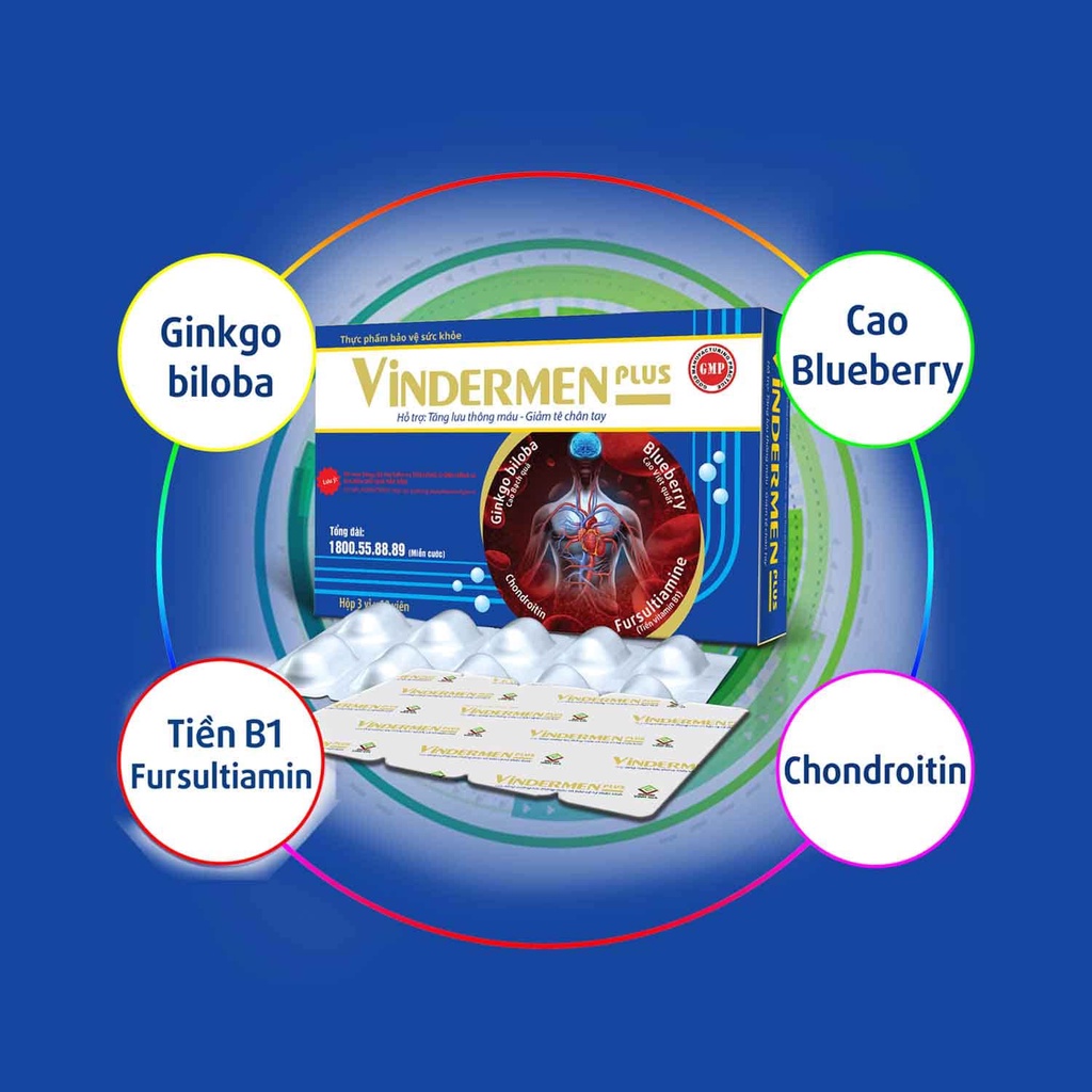 Vindermen Plus - Tăng cương lưu thông máu, thiểu năng tuần hoàn máu não - hộp 30 viên