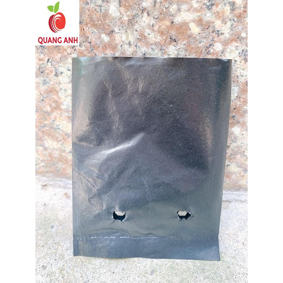 1kg TÚI BẦU ƯƠM CÂY