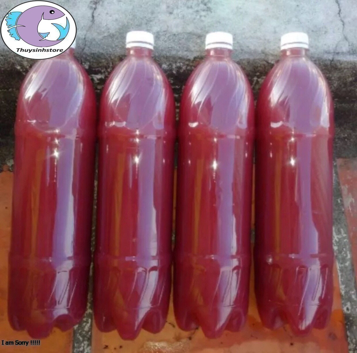 Vi sinh PSB 5 lít, men vi sinh bể cá, bể koi, hồ kính giúp là trong nước