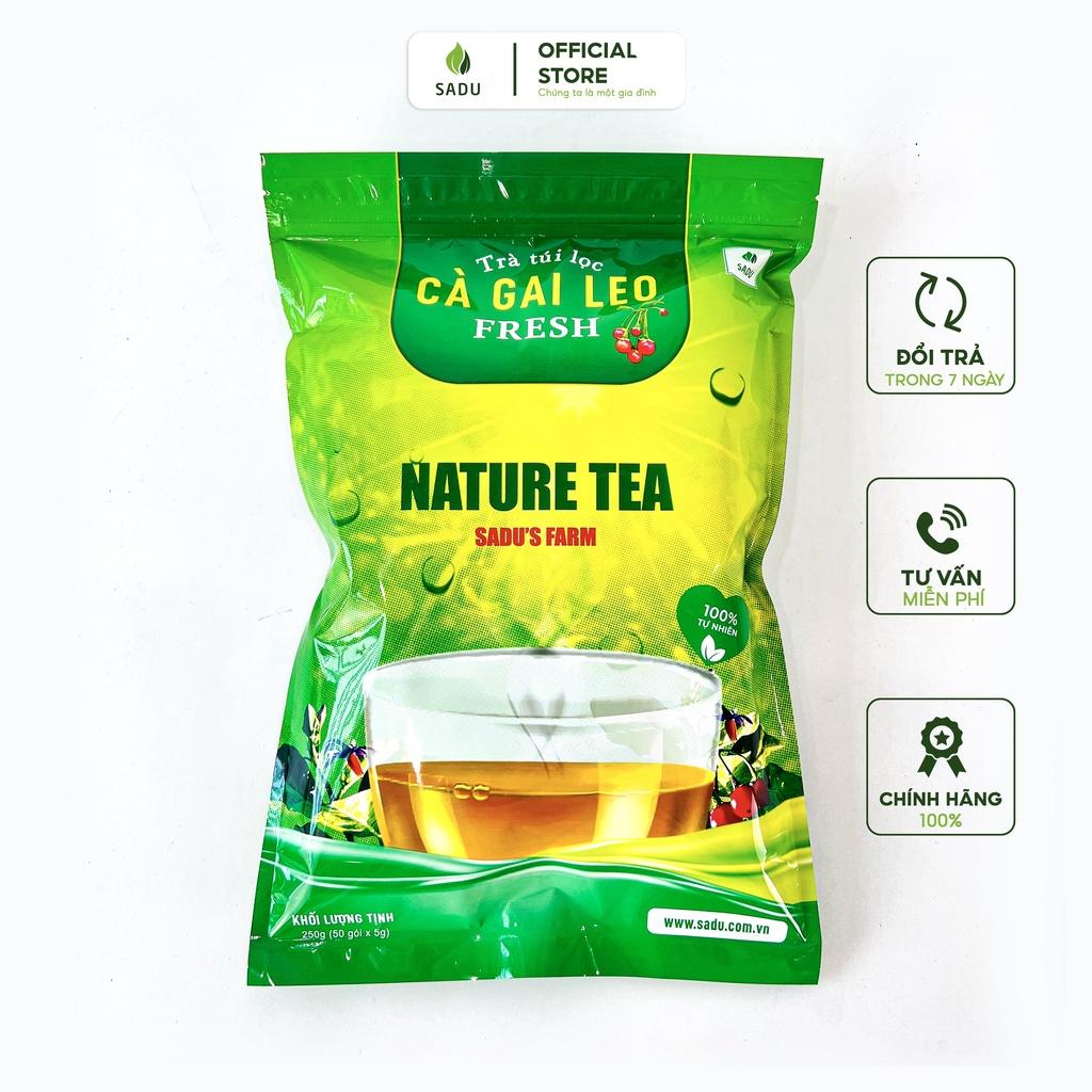 Trà cà gai leo túi lọc sadu Fresh gói 250g