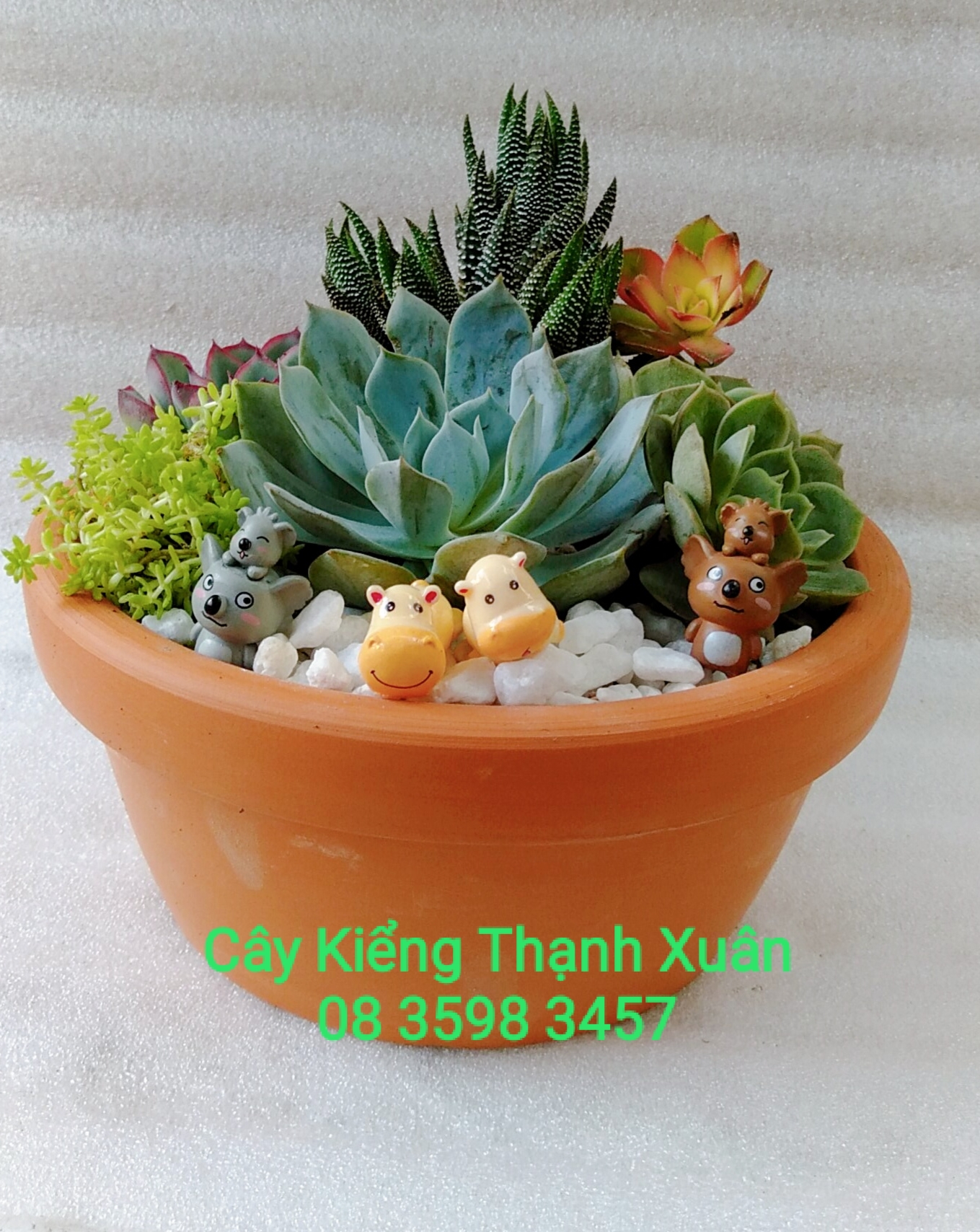 Chậu đất nung trồng cây - Chậu hình cái Tô trồng cây sen đá, xương rồng có lỗ thoát nước,kích thước miệng chậu 14,5 cm