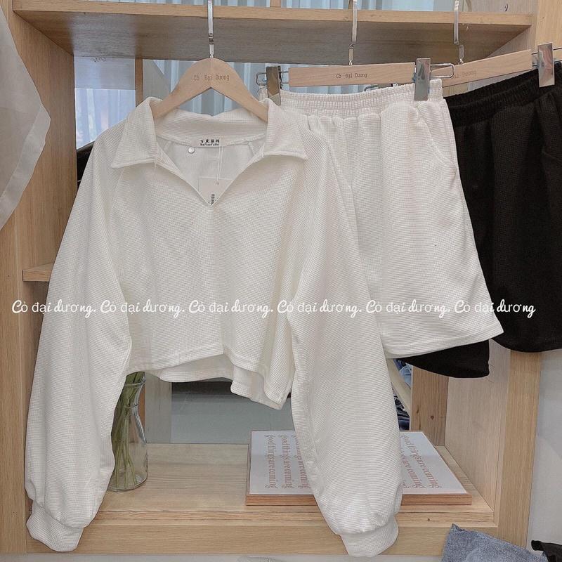 Set trơn basic dài tay