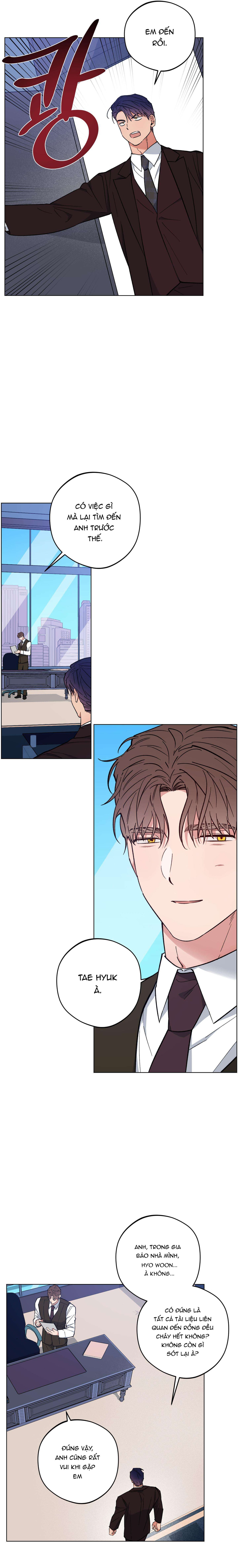 bình minh trên sông mây chapter 21 15