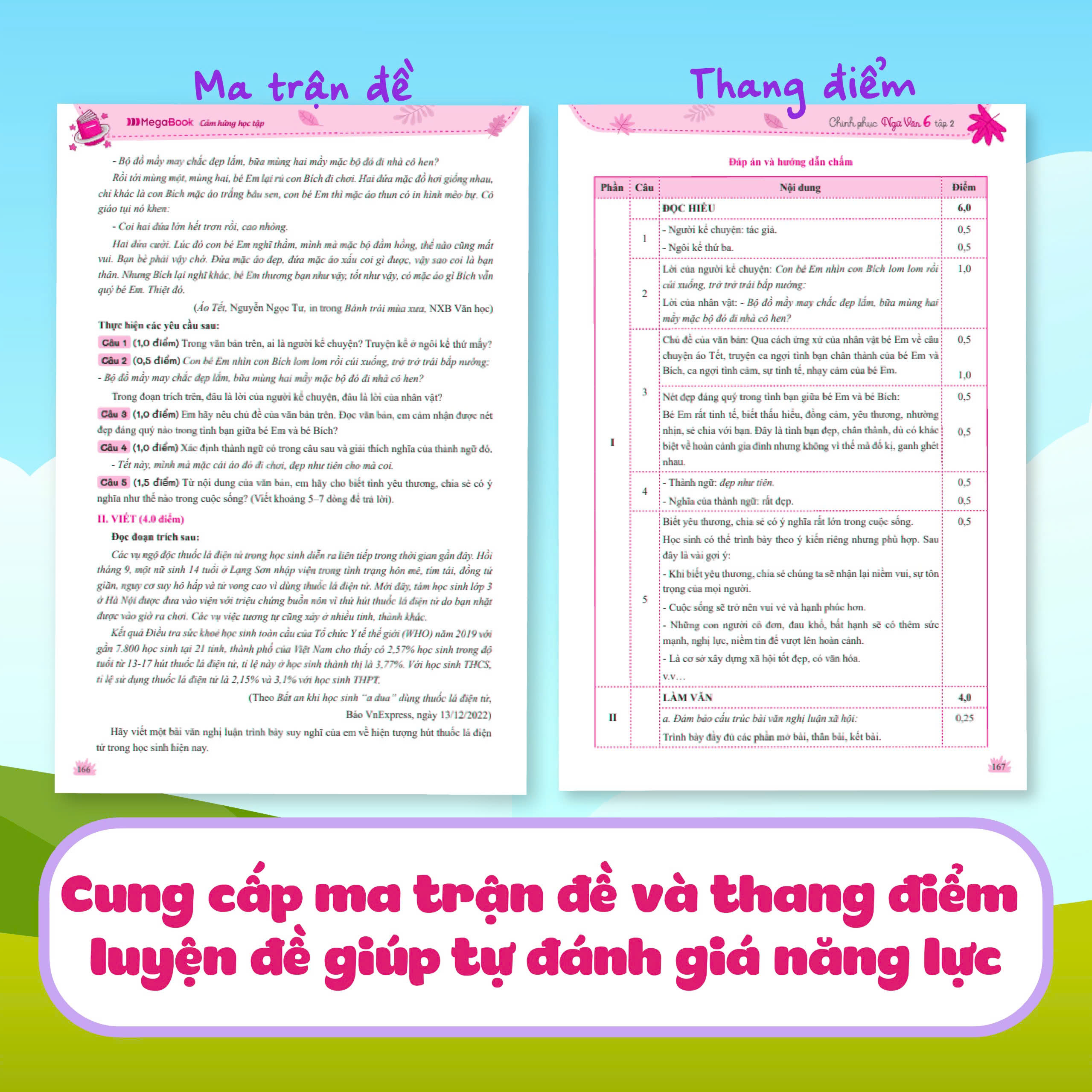 Chinh Phục Ngữ Văn - Kỹ Năng Đọc Hiểu Và Viết Theo Các Thể Loại Lớp 6