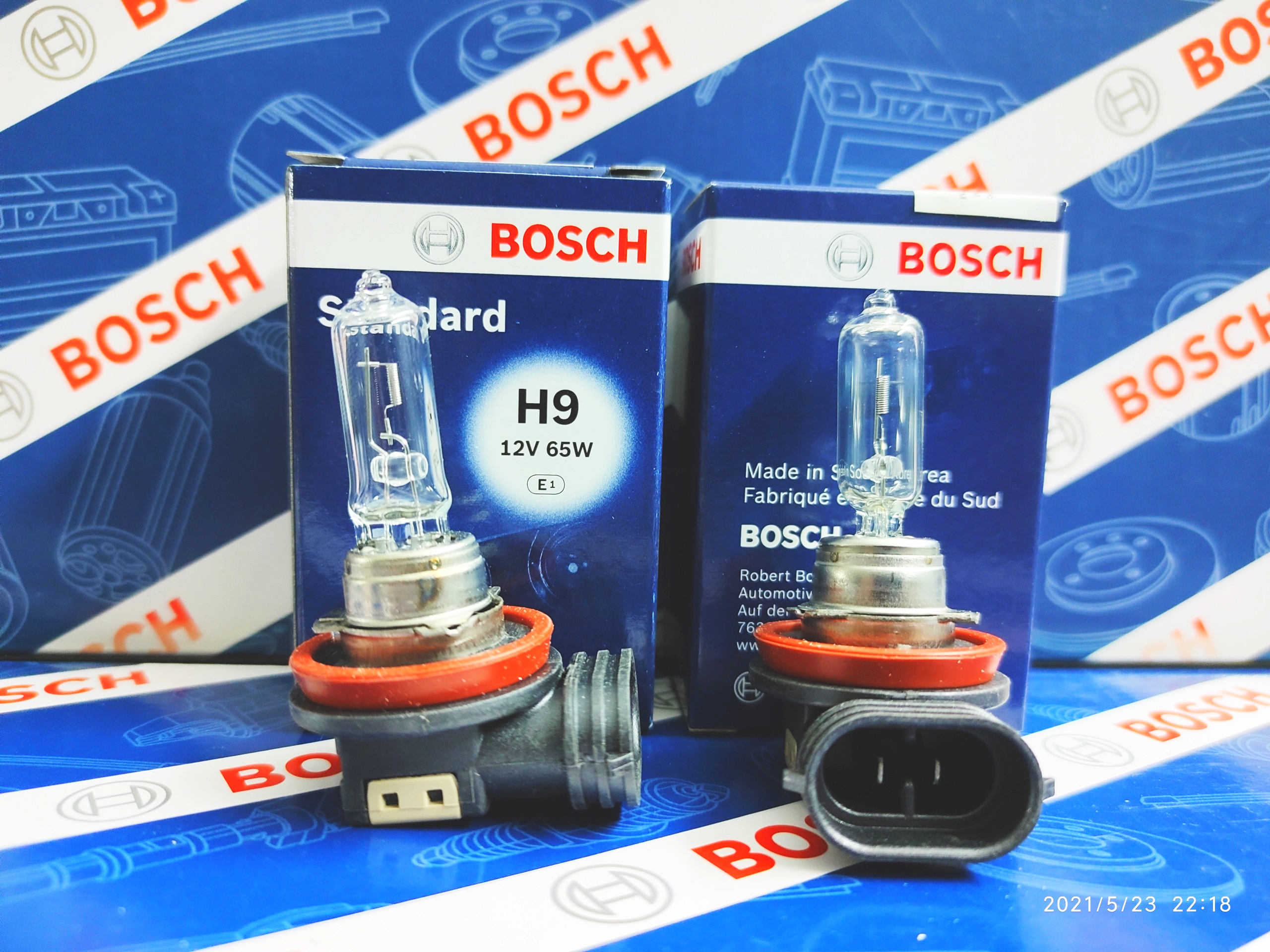 Bóng đèn Bosch H9 12V 65W