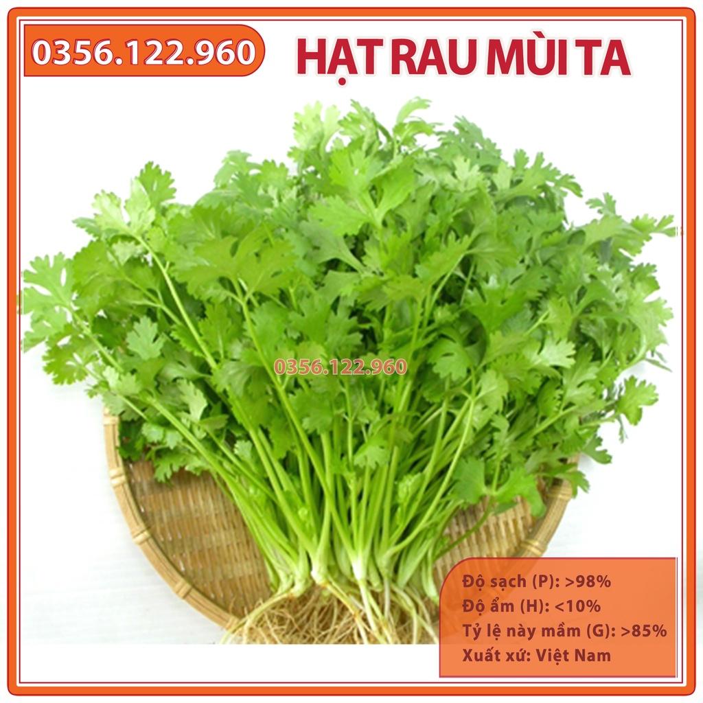 20g Hạt giống rau mùi ta hạt nhỏ, rau ngò rí, ngò hạt nhỏ