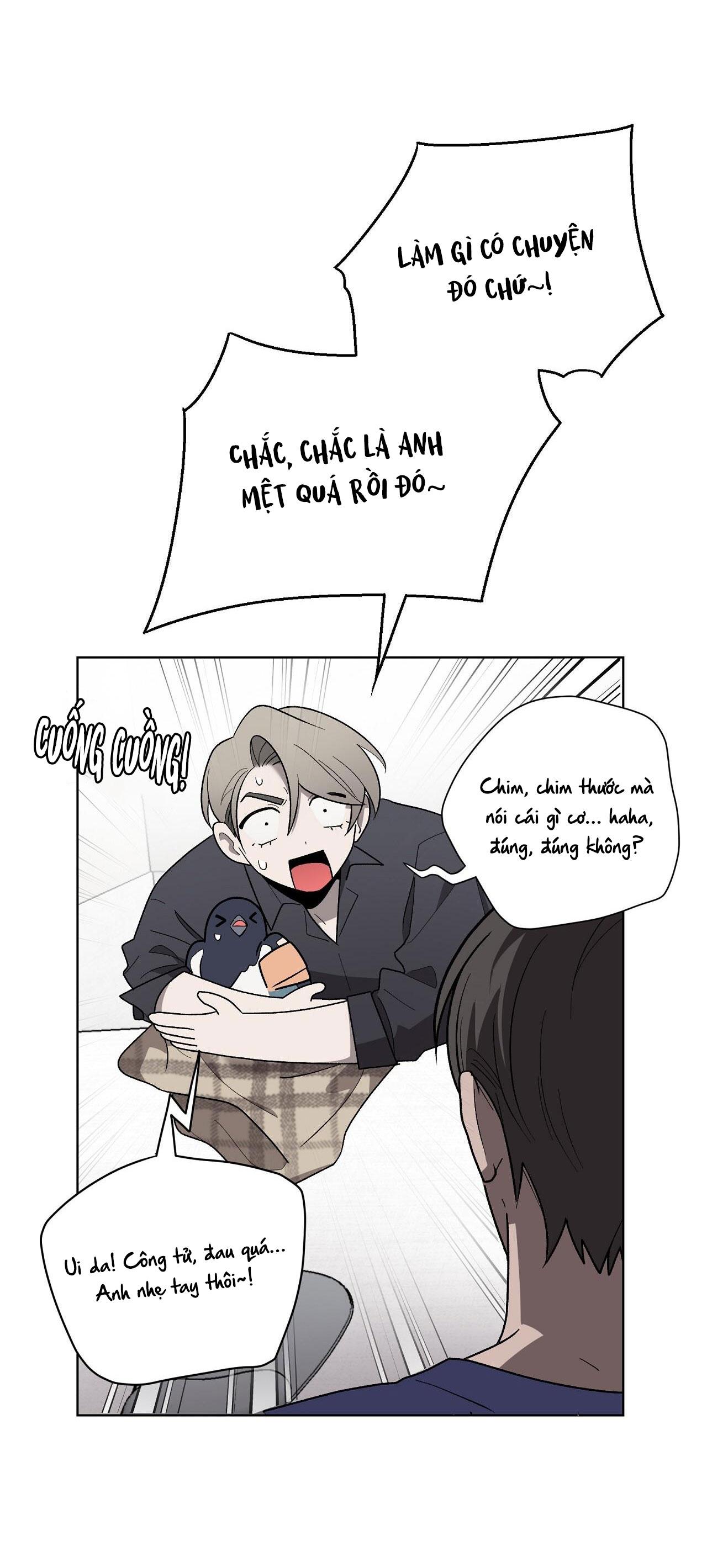 khi chim thước đến chapter 13 37