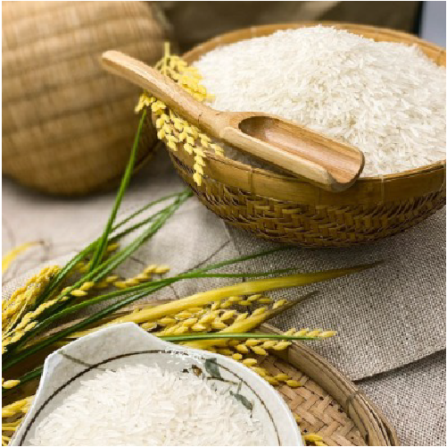 [Tặng 2Kg Gạo ST25] Combo 10kg Gạo ST25 Hoa Lúa túi 2kg (Tổng 12Kg)