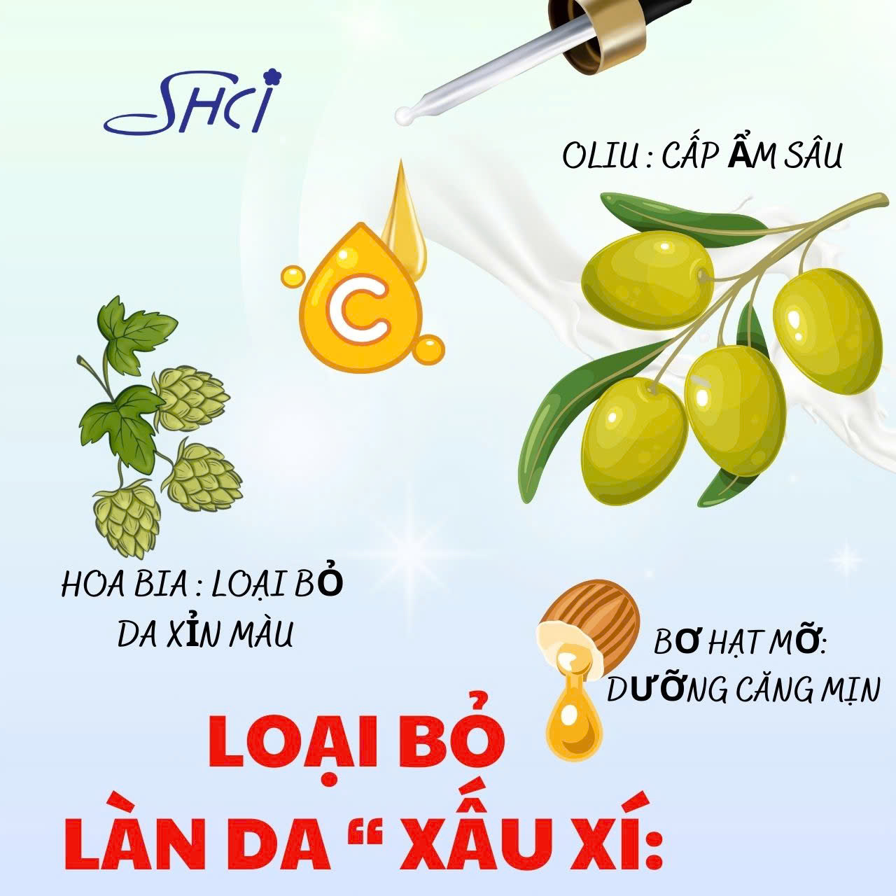 Tẩy Da Chết Toàn Thân Shci Coffee Dưỡng Da Trắng Mịn (Tuýp 160G)