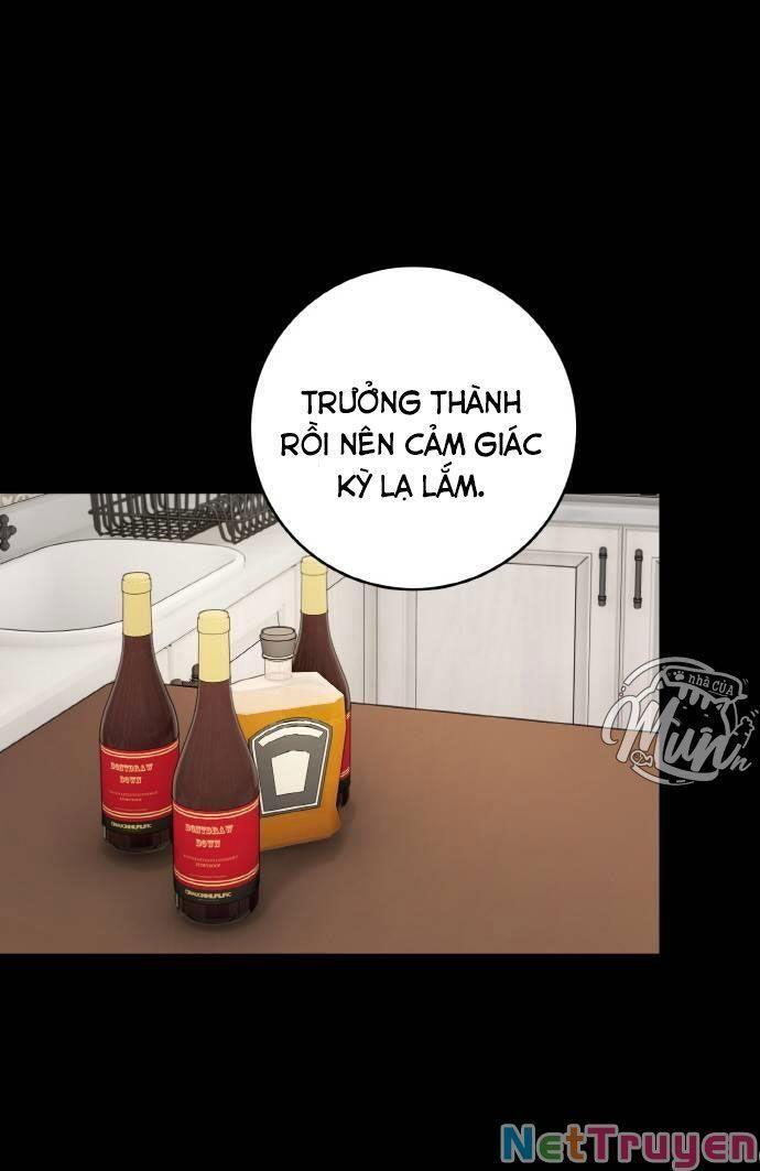 nhật ký tuần trăng mật của phù thủy và rồng chapter 52.2 24