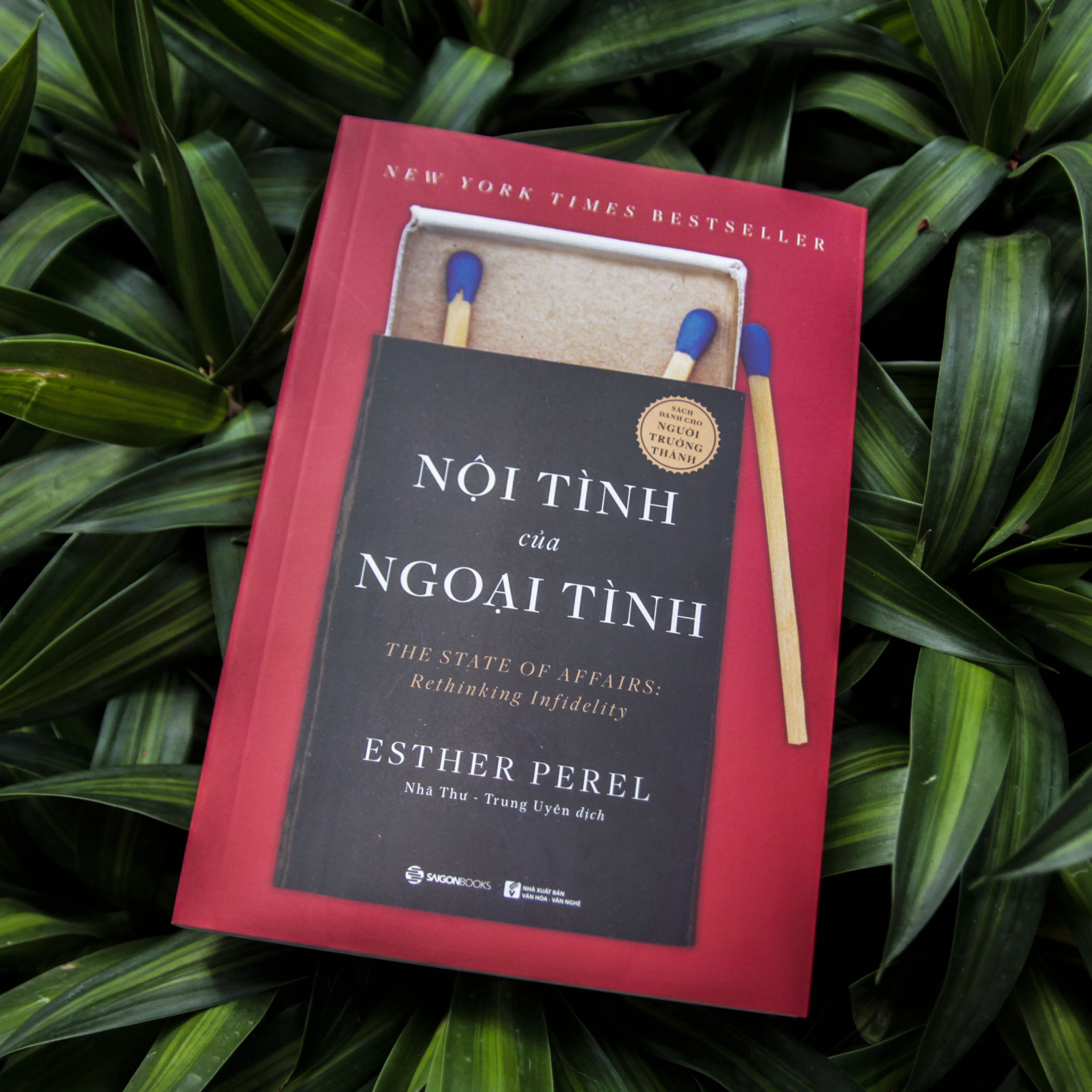 Combo 2 cuốn: Nội tình của ngoại tình + Này cô gái, thức tỉnh đi