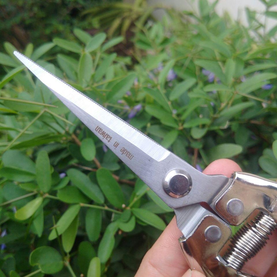 Kéo dùng cắt hoa hái trái cây Đài Loan LV101