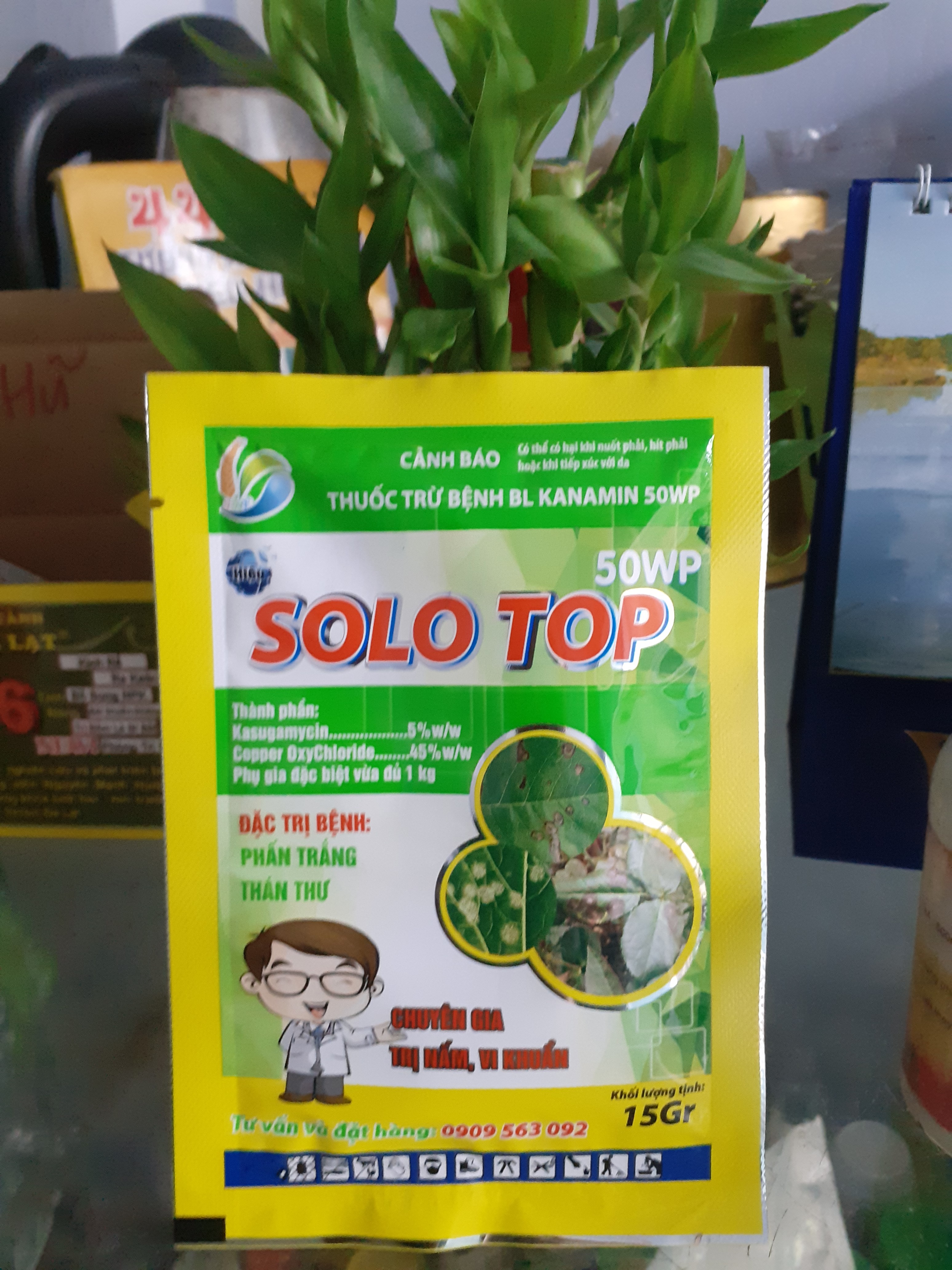Phấn trắng thán thư có SOLO TOP