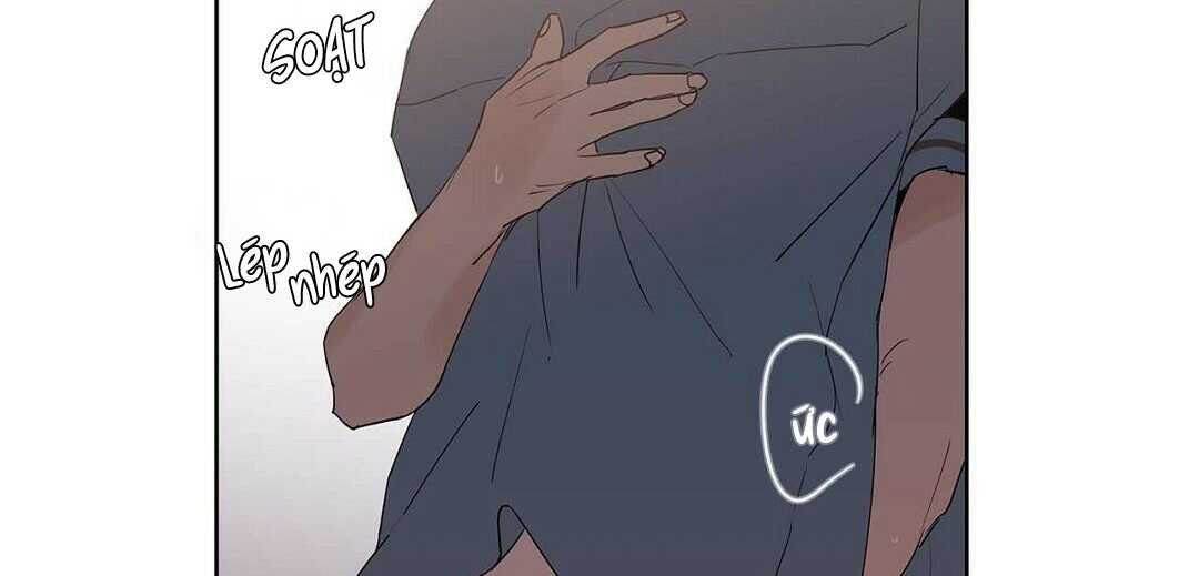 guide cấp b chapter 41 109