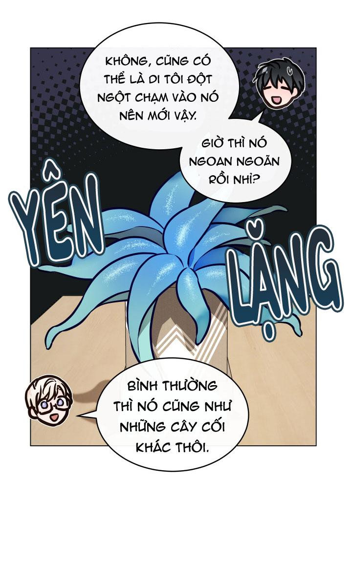 thực vật trị liệu chapter 3 31