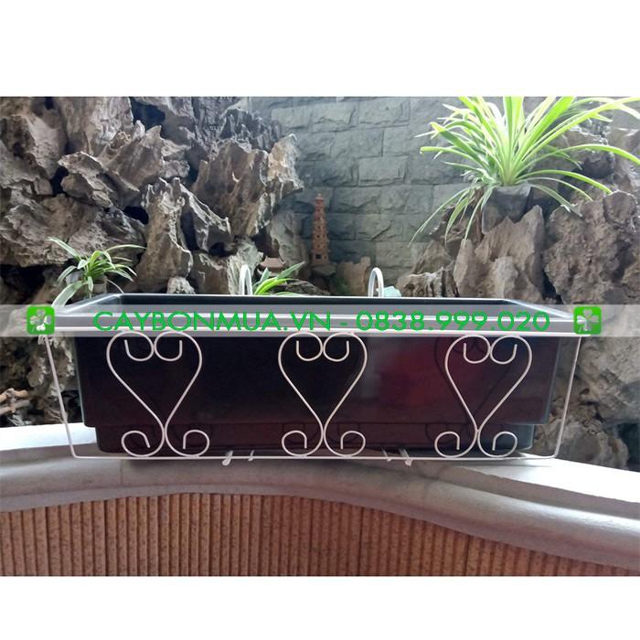 Chậu hình máng - Chậu máng nhựa treo ban công - Chậu mang nhựa trắng cao cấp có khung sắt siêu rẻ khi mua kèm