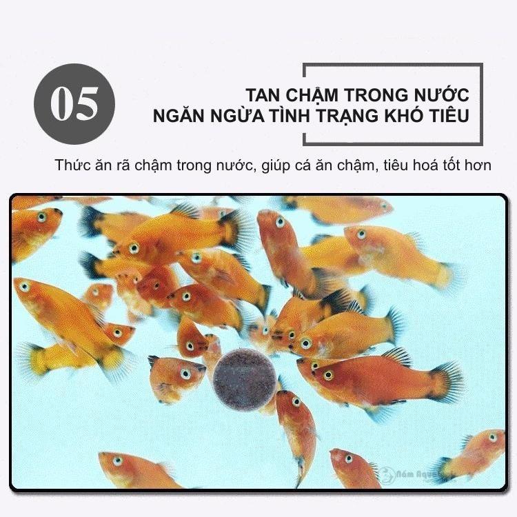 Viên Thức Ăn Dán Dành Cho Cá Cảnh