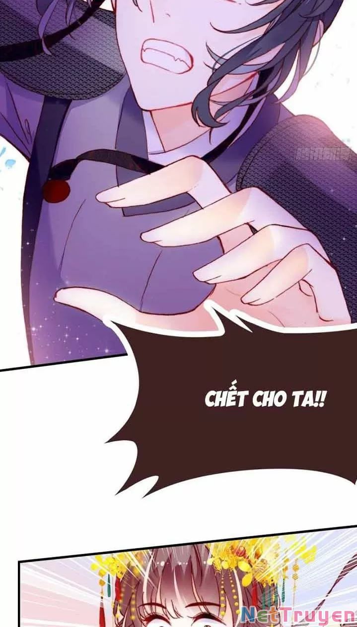 lại bị bệnh chiều chuộng quấn lấy chapter 5 24