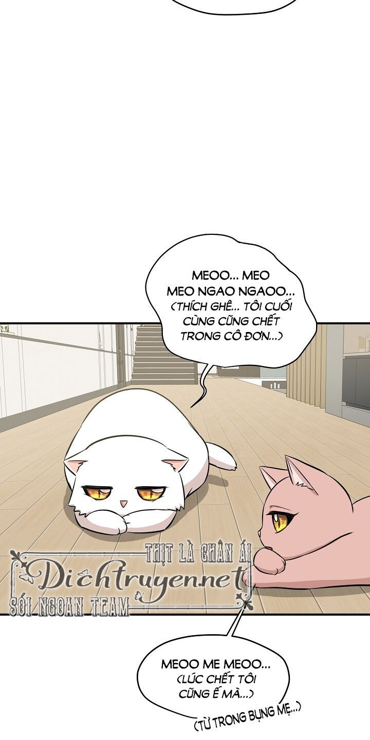 cuộc sống kỳ thú chapter 44 57