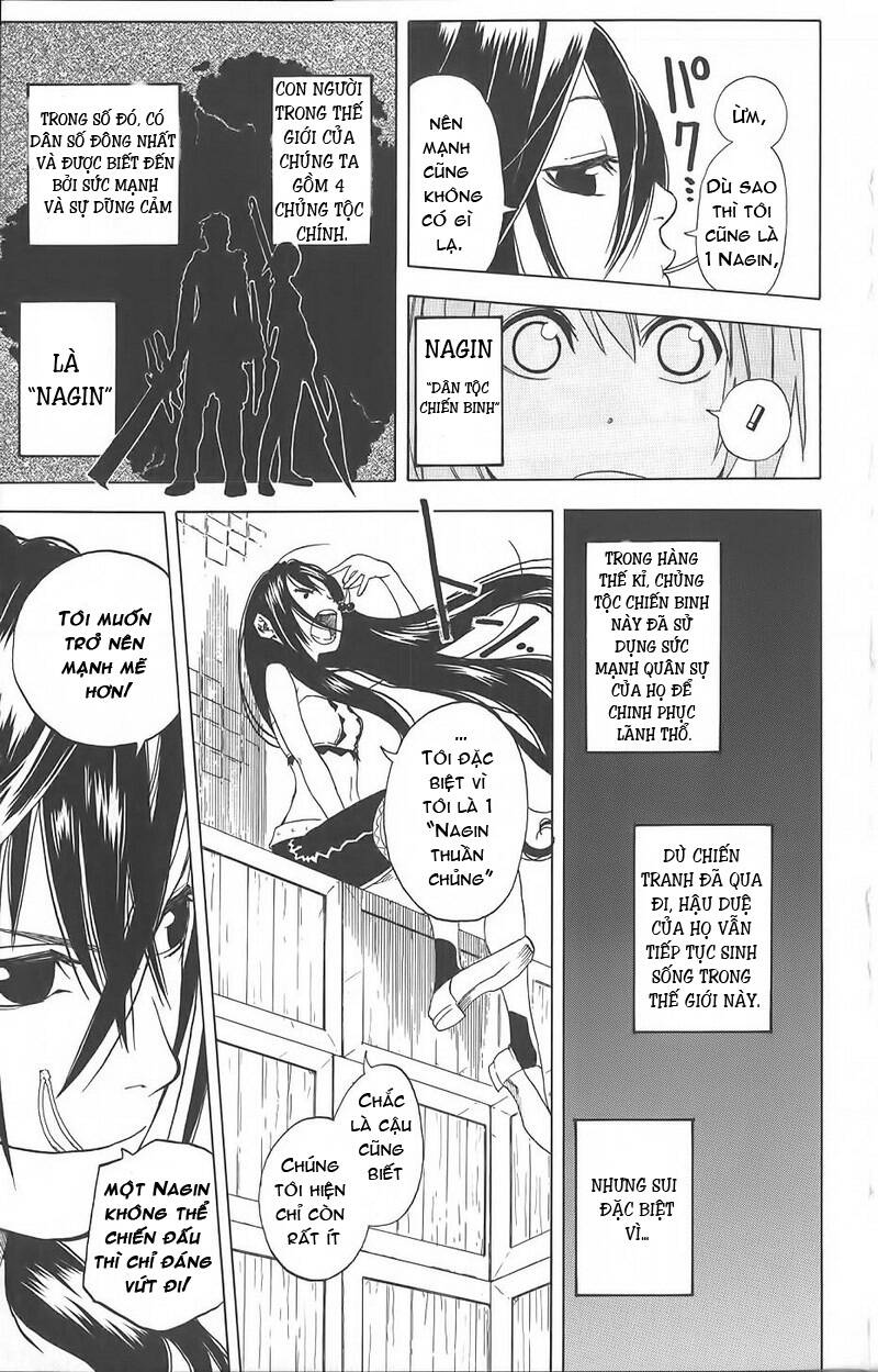 double arts chapter 5 5