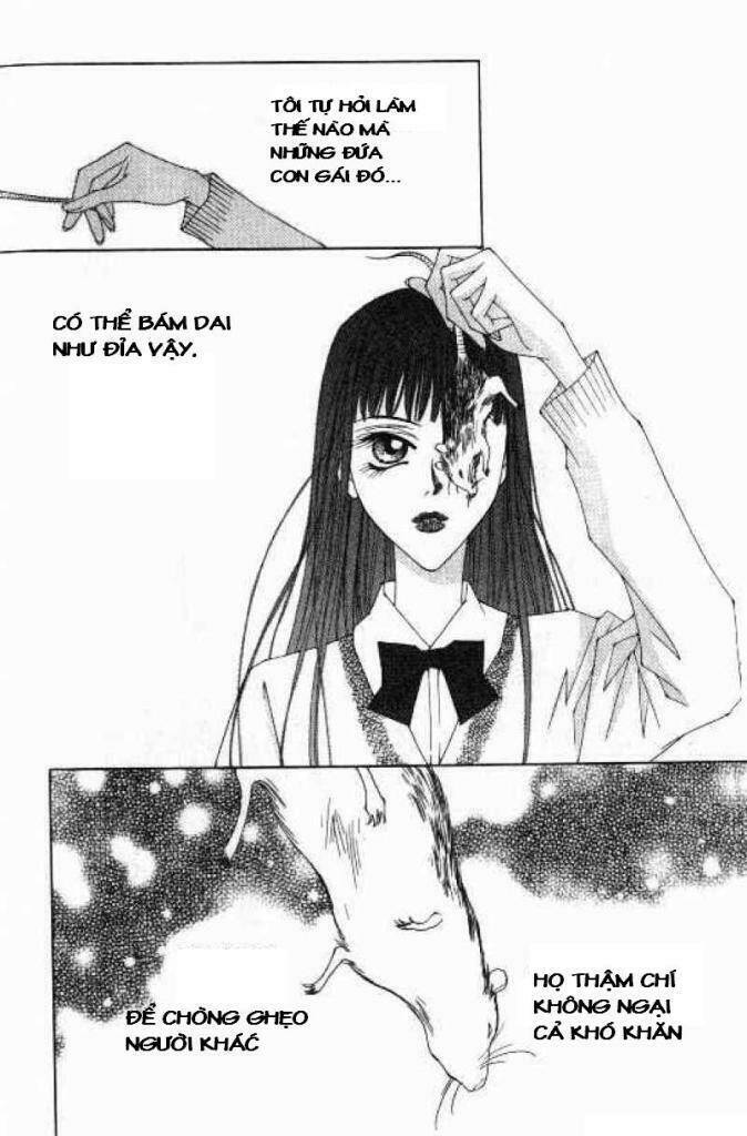 cynical orange - quả cam thủy tinh chapter 2 5